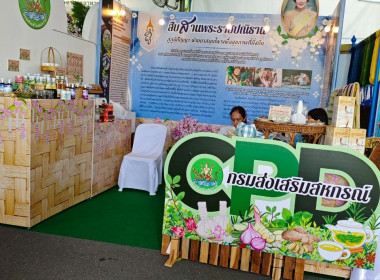 งาน “สีสรรพรรณไม้ เทิดไท้บรมราชินีนาถ” ประจำปี 2568 ... พารามิเตอร์รูปภาพ 43